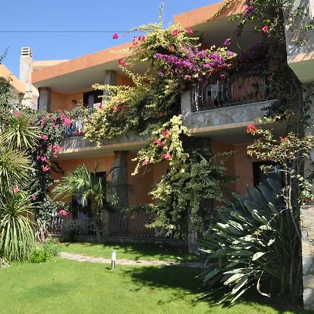Palm Village-2